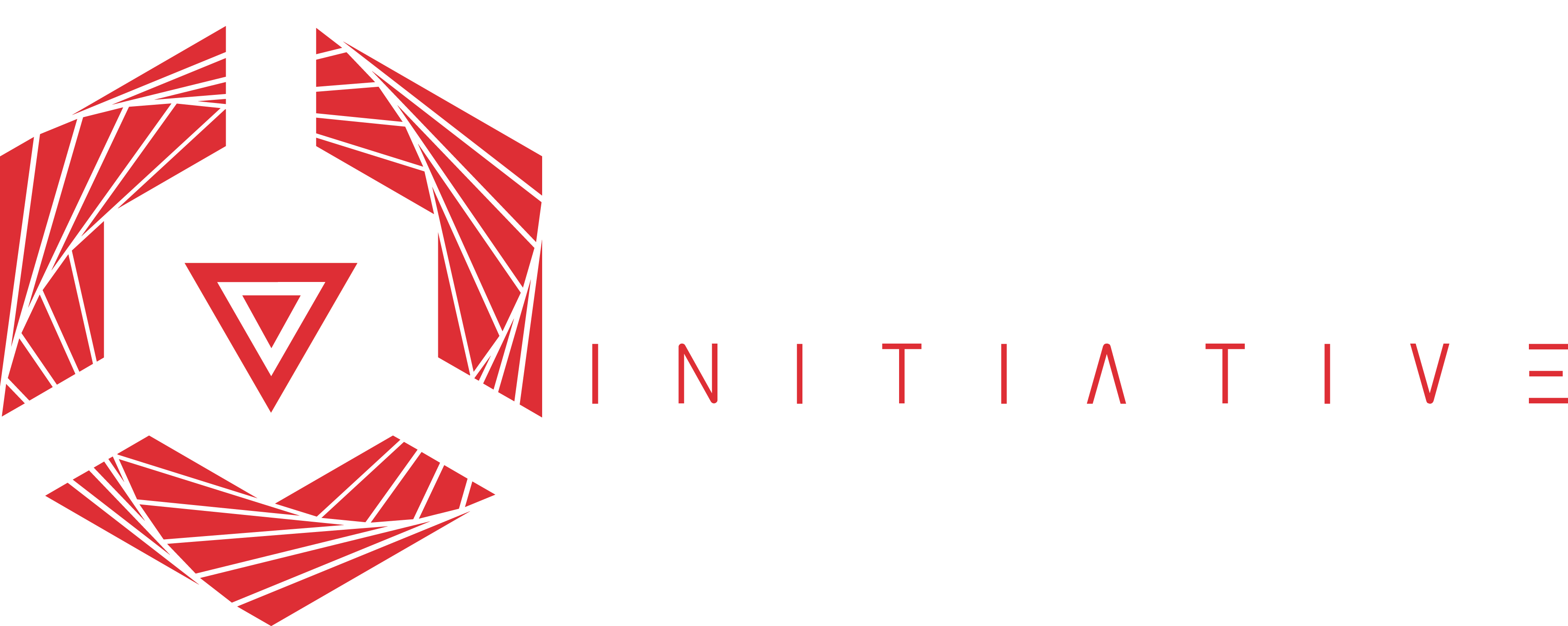 BSI - Black Star Initiative logo